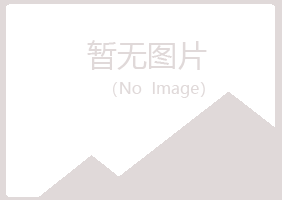 大新县冰烟造纸有限公司